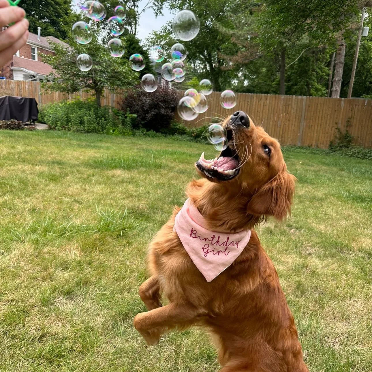 Bubble Lick Peanut Butter Swirl Flavored Dog Bubbles – Edible Pet Bubbles for Interactive Play & Enrichment